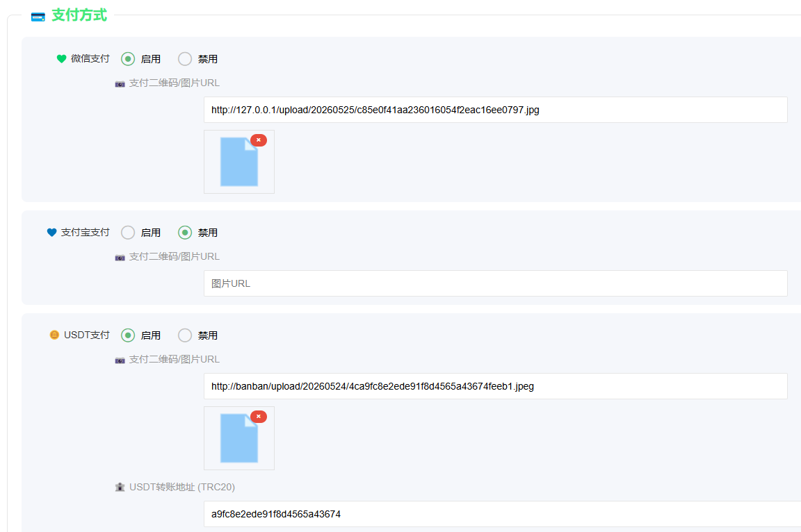 支付方式配置界面（微信+USDT）