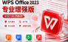 WPS Office 2023 专业增强版 (永久激活/去广告)