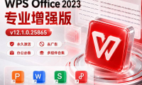 WPS Office 2023 专业增强版 (永久激活/去广告)